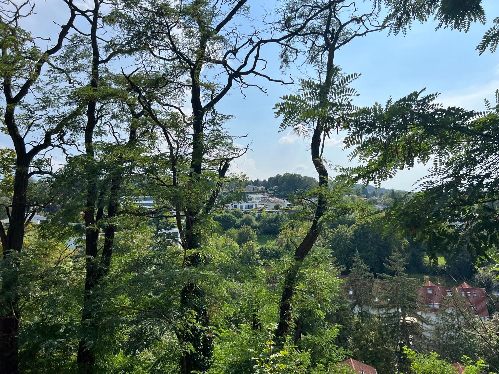 Apartment Luxuswohnung In Mit Fantastischem Blick Karlsruhe