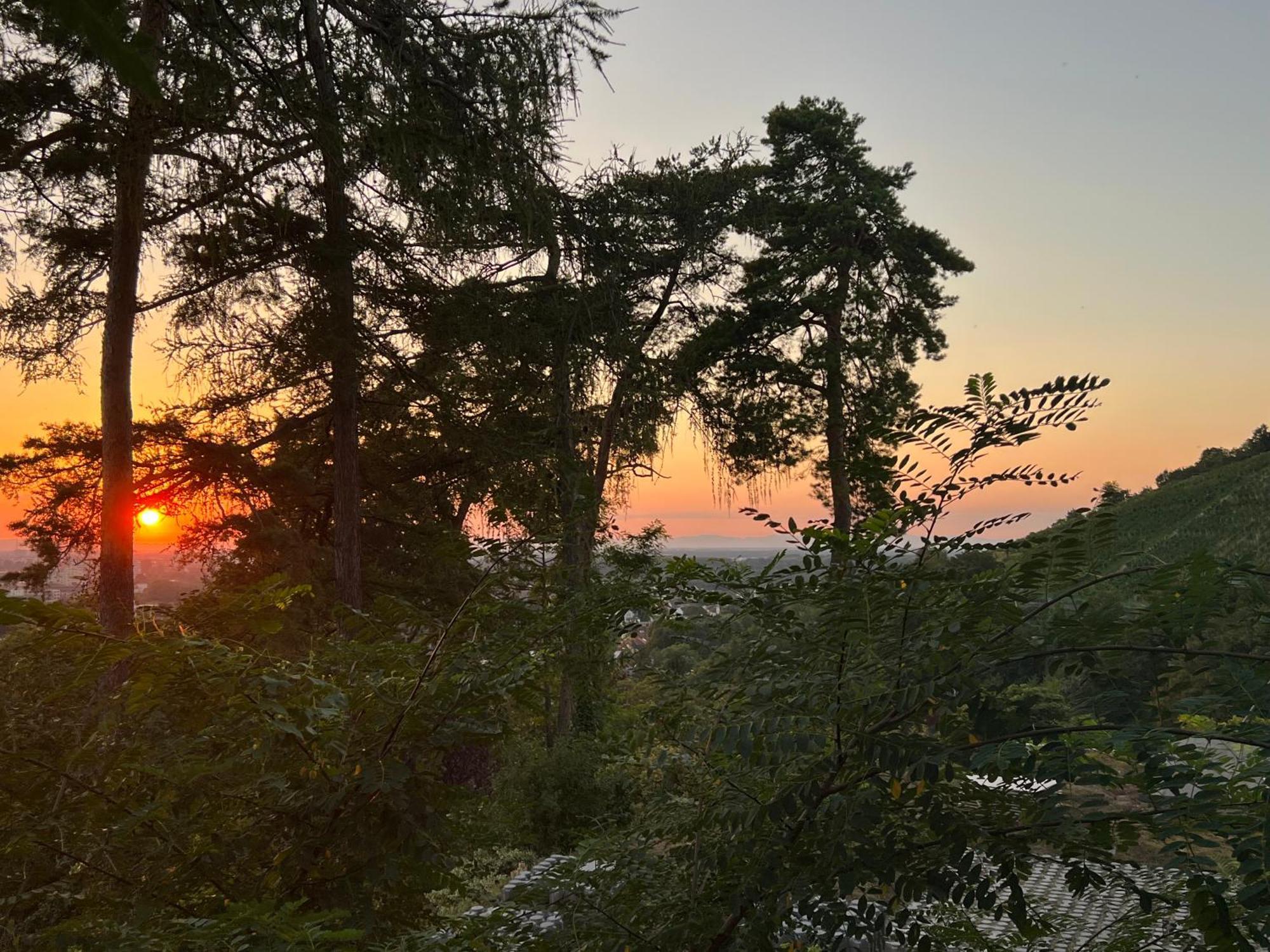 Apartment Luxuswohnung In Mit Fantastischem Blick Karlsruhe